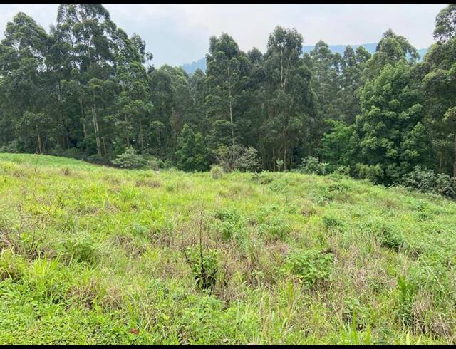 LAND FOR SALE IN MONTROSE